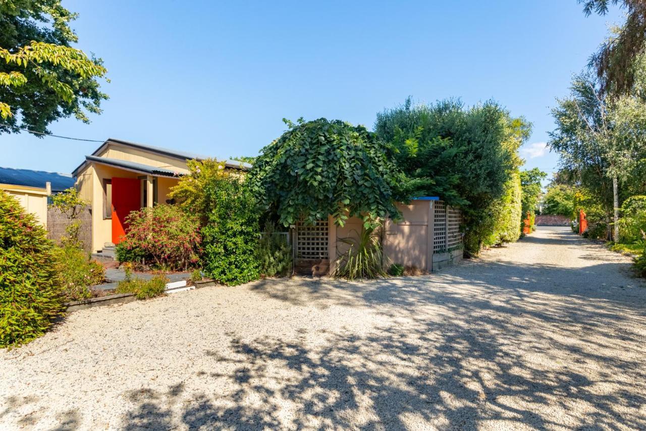 Shy Cottage And Studio Greytown Eksteriør billede