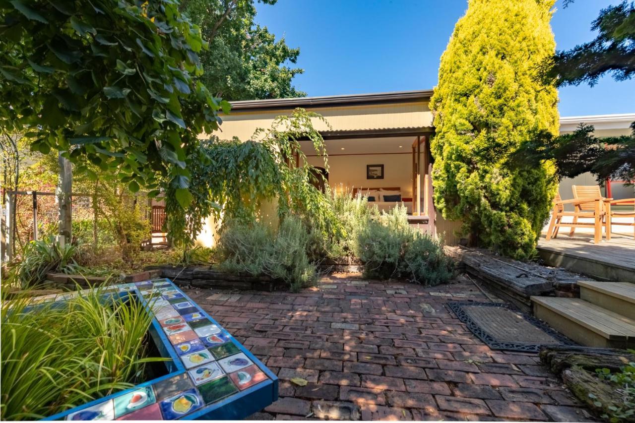 Shy Cottage And Studio Greytown Eksteriør billede