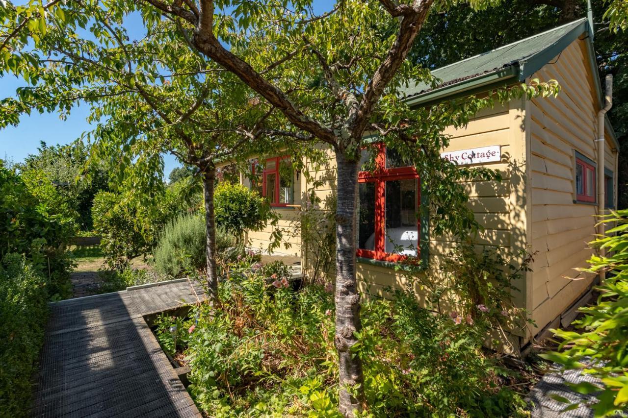 Shy Cottage And Studio Greytown Eksteriør billede