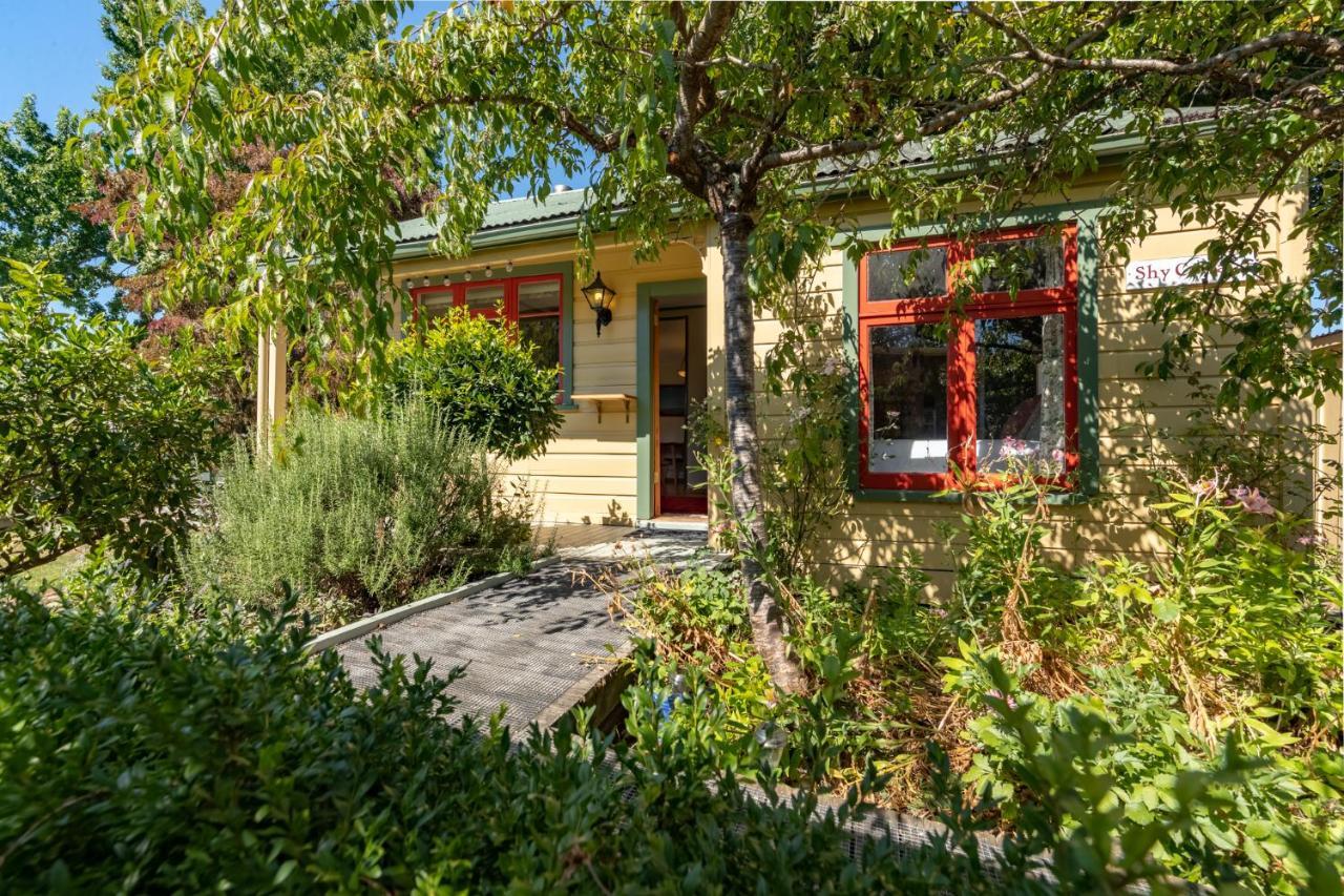 Shy Cottage And Studio Greytown Eksteriør billede