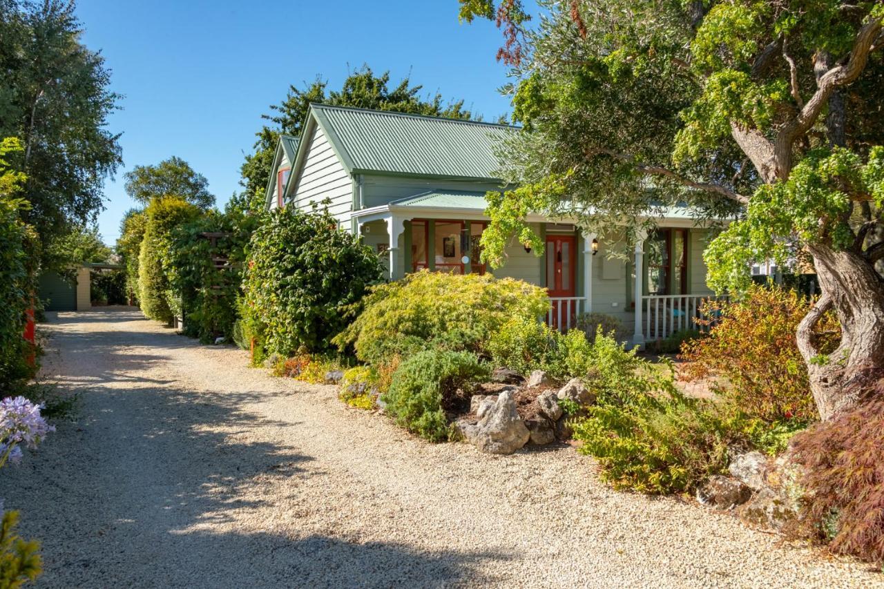 Shy Cottage And Studio Greytown Eksteriør billede