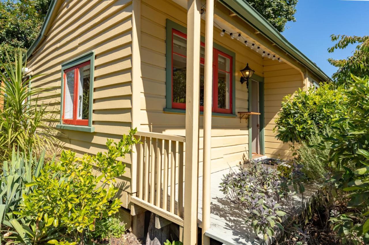 Shy Cottage And Studio Greytown Eksteriør billede
