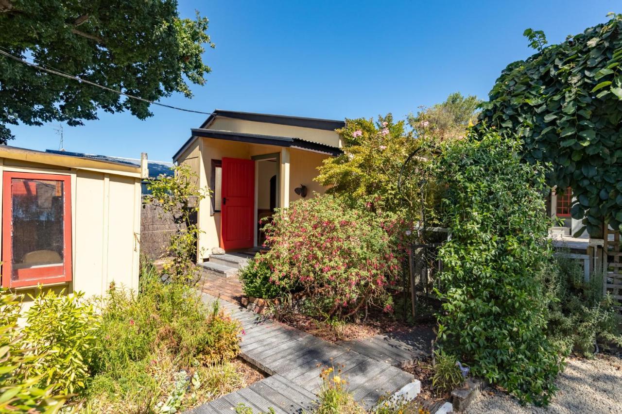 Shy Cottage And Studio Greytown Eksteriør billede